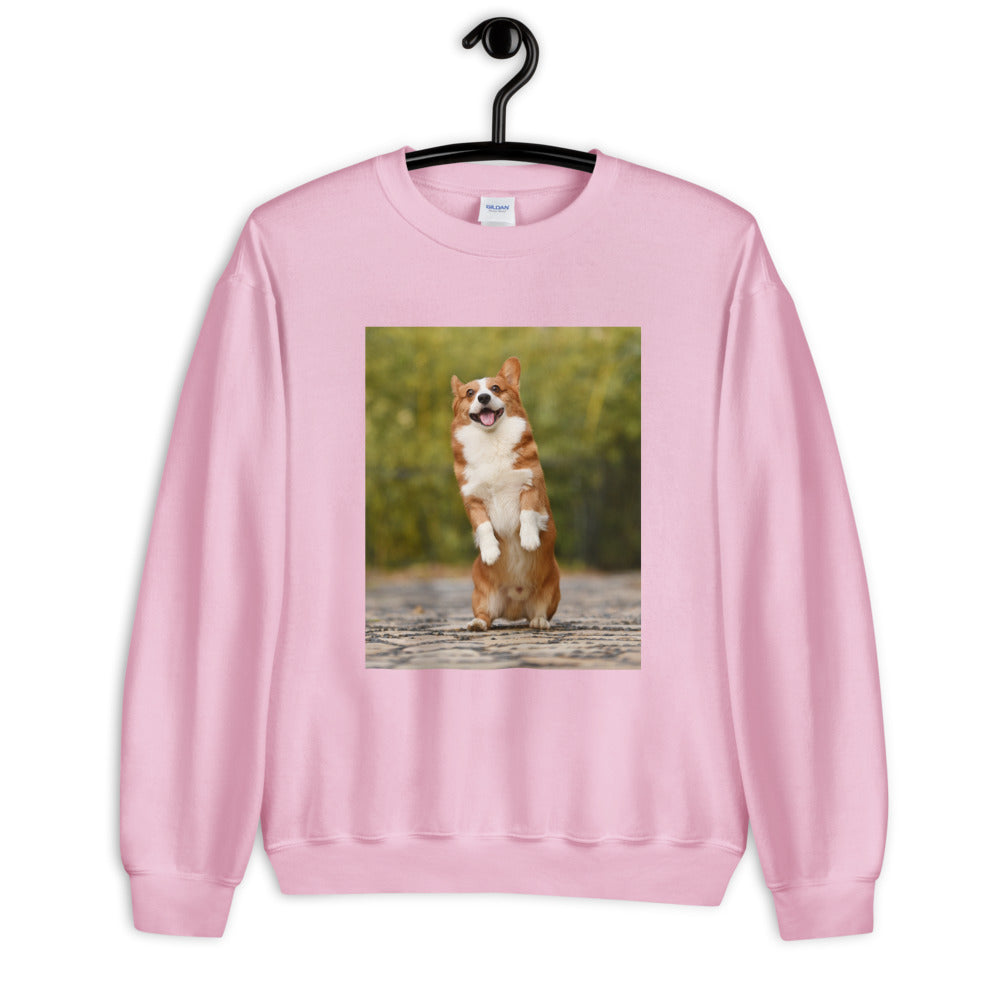 Standing-corgi ユニセックス スウェット