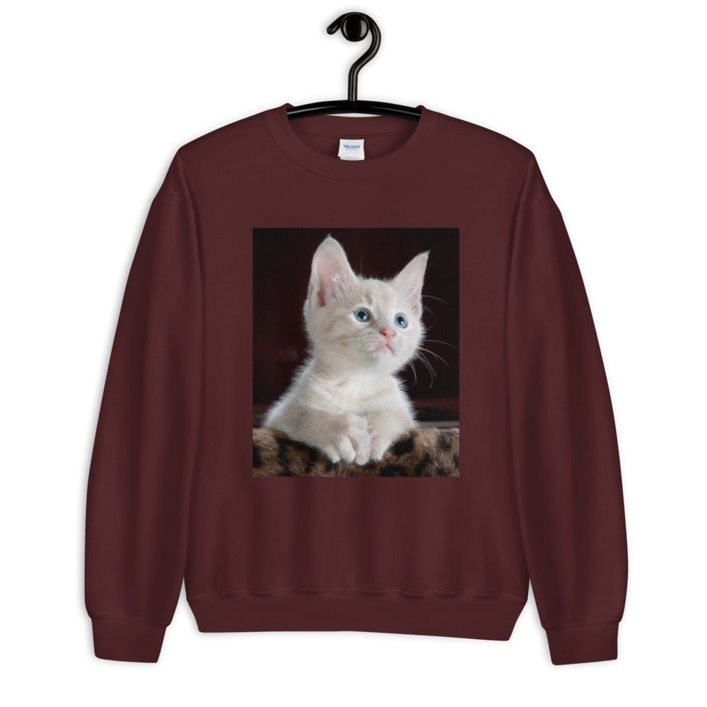 Kitten-looking-up ユニセックス スウェット