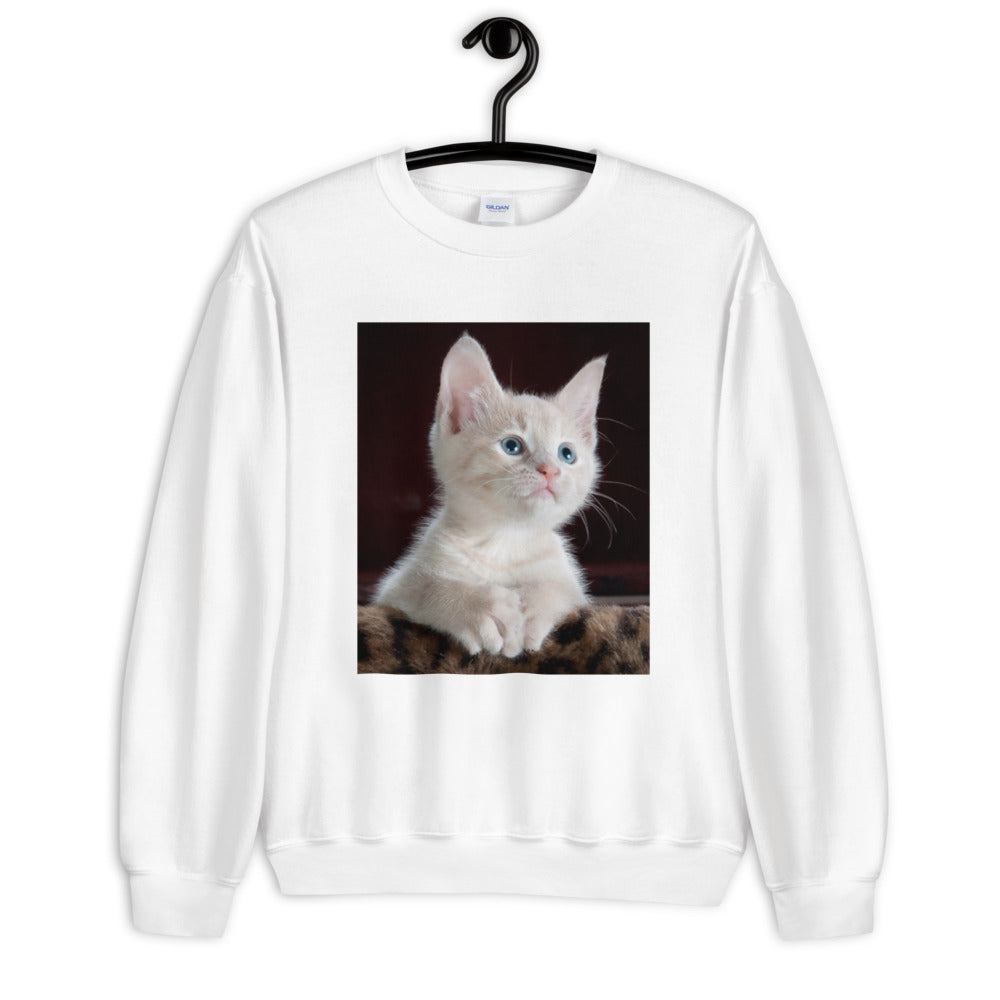 Kitten-looking-up ユニセックス スウェット