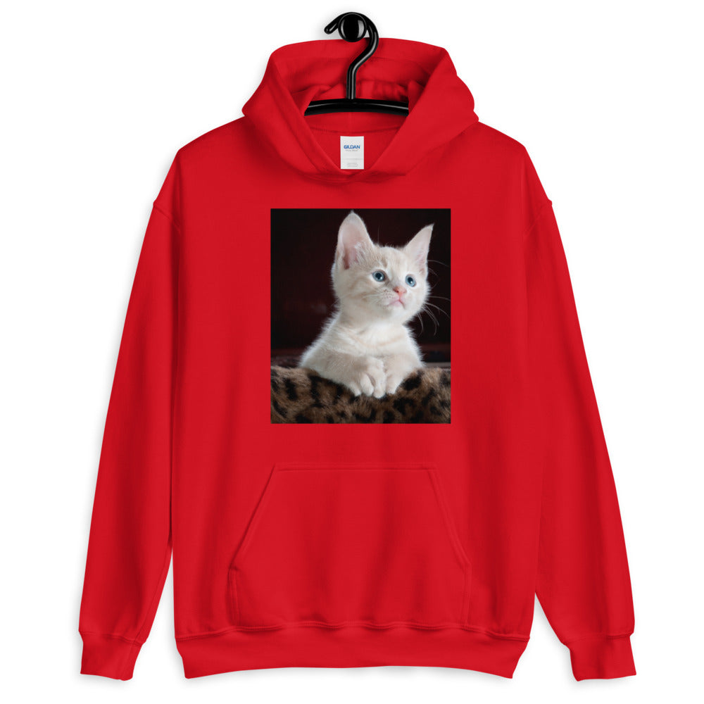 Kitten-looking-up ユニセックスパーカー